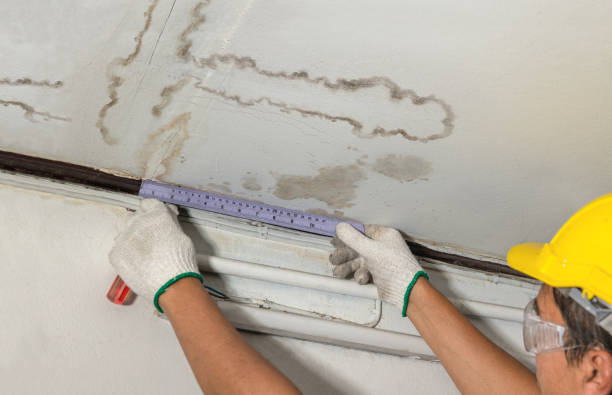 Reliable Mold Remediation contractor in Cushing, OK by Water Damage Irwin
